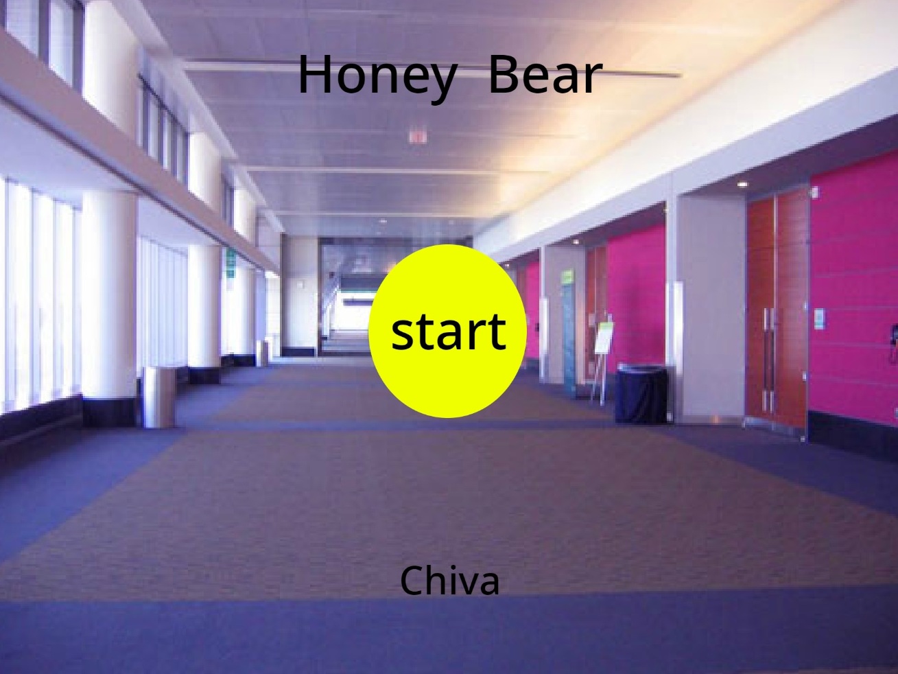 Honey Bear